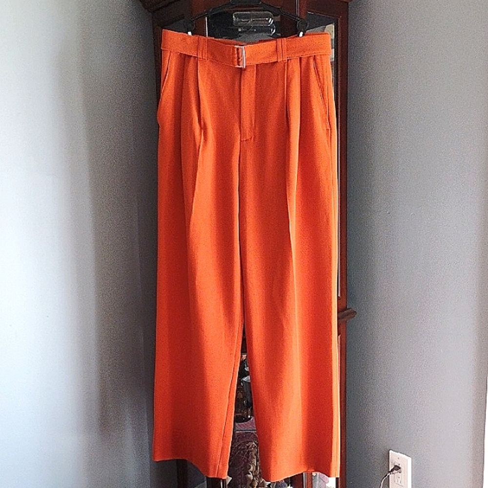 ZARA Orange Pants